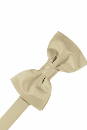 Bamboo Solid Satin Bowtie