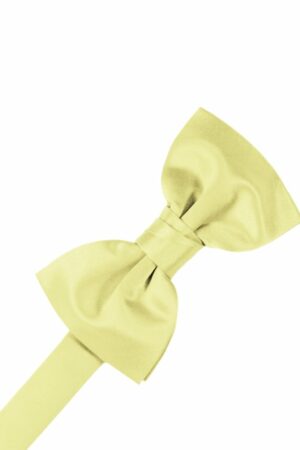 Banana Solid Satin Bowtie