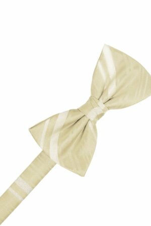 Bamboo Striped Satin Bowtie