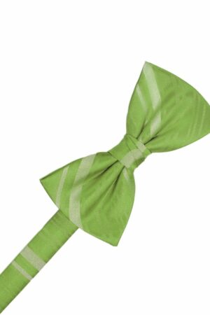 Clover Striped Satin Bowtie