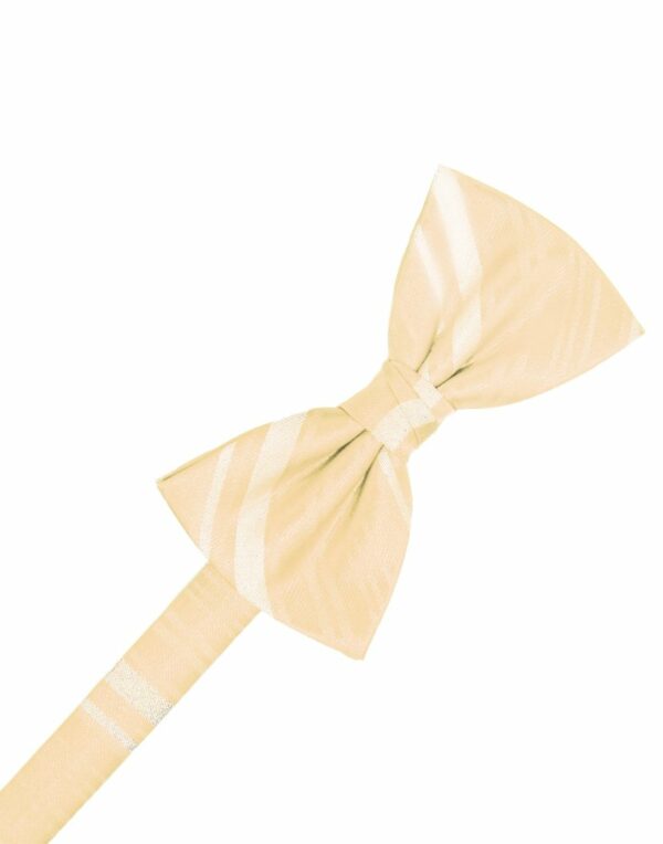 Peach Striped Satin Bowtie