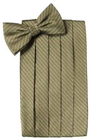 Champagne Palermo Cummerbund