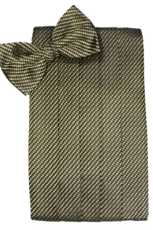 Champagne Venetian Cummerbund