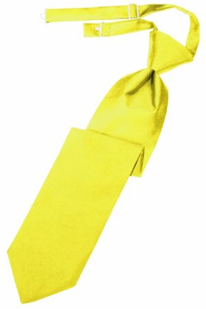 Lemon Solid Satin Long Tie