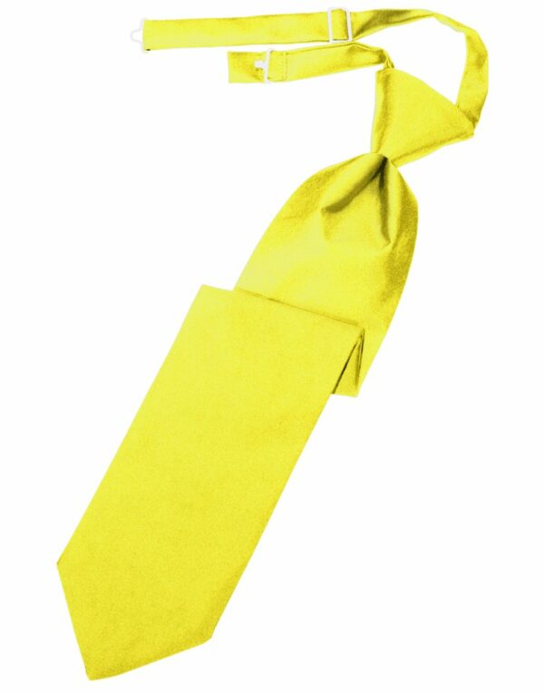 Lemon Solid Satin Long Tie