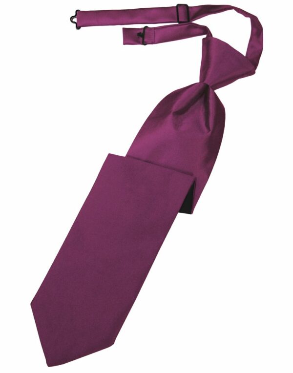 Sangria Solid Satin Long Tie