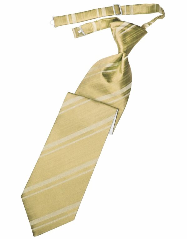Harvest Maize Striped Satin Long Tie