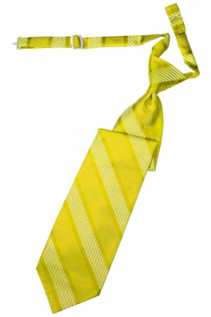 Lemon Venetian Stripe Long Tie