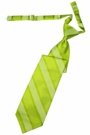 Lime Venetian Stripe Long Tie