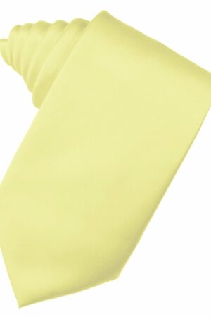 Banana Solid Satin Suit Tie