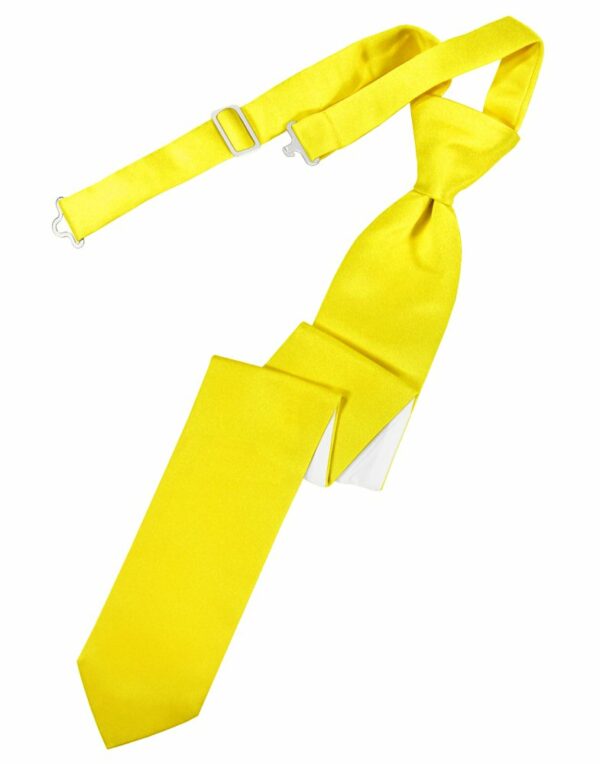 Sunbeam Solid Satin Skinny Tie