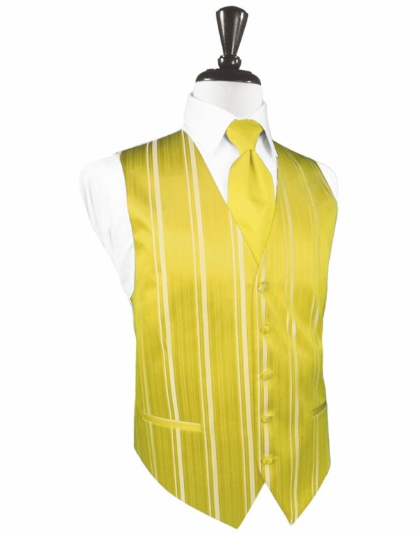 Sunbeam Striped Satin Vest